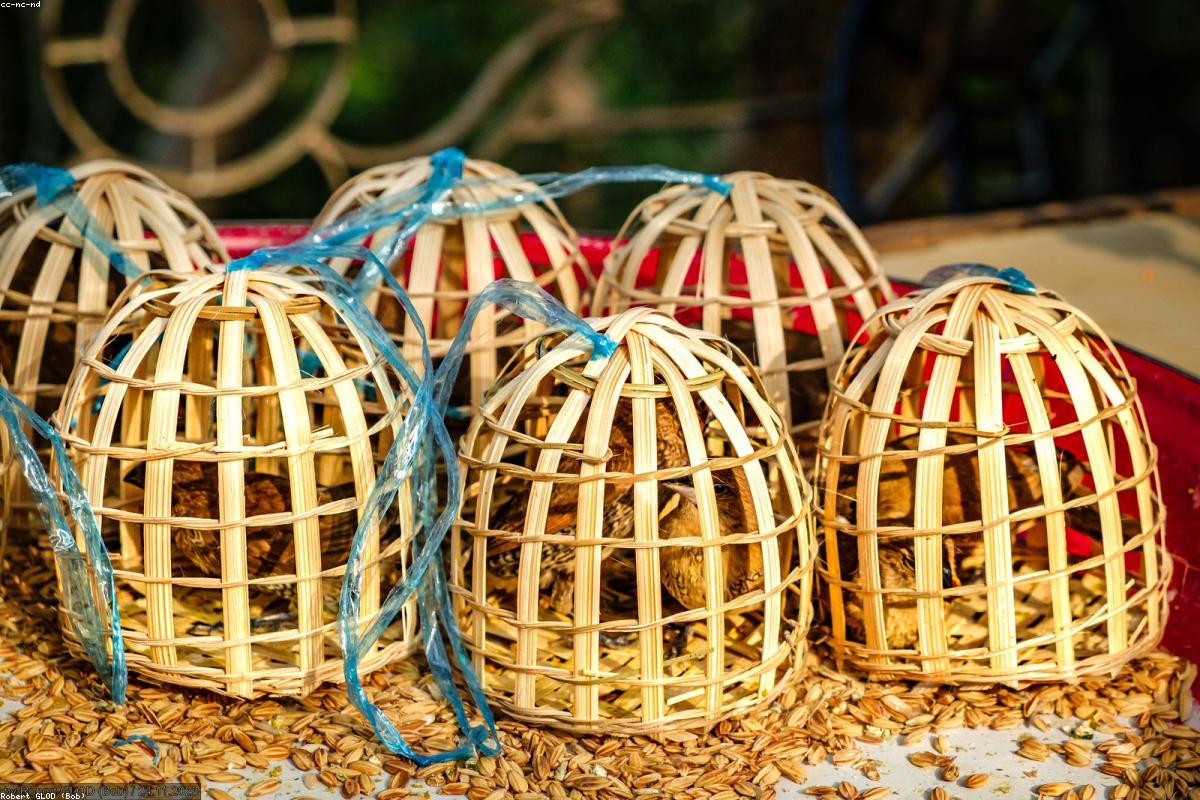 Atelier de construction de décors de scène de Régie Télé